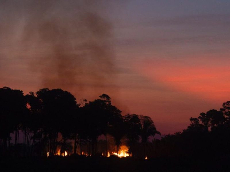 Amazonas registra queda de 39% nos focos de queimadas em outubro