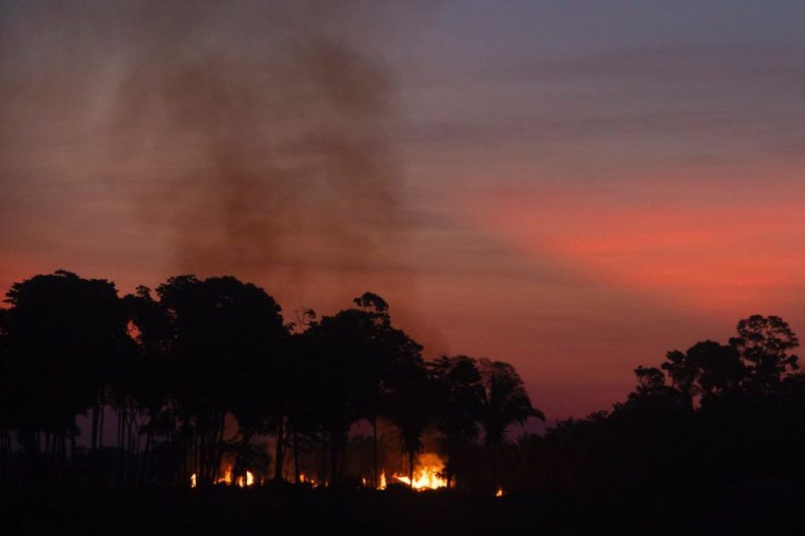 Amazonas registra queda de 39% nos focos de queimadas em outubro