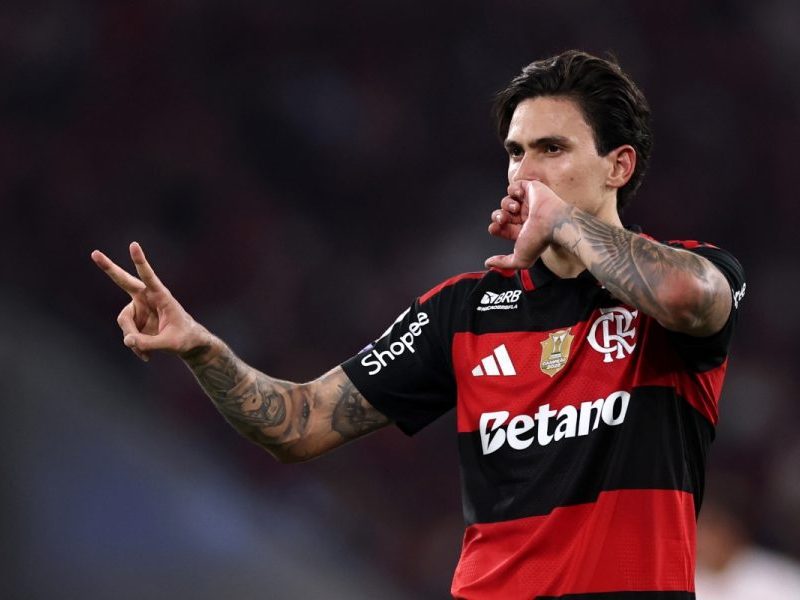 Bahia x Flamengo pelo Brasileirão: Onde assistir ao vivo