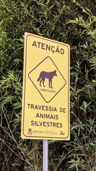 Barra do Piraí instala placas para alertar sobre animais silvestres na pista