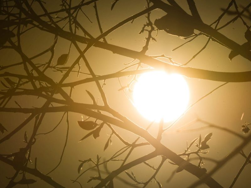 BH emite alerta de onda de calor forte com máximas de 34ºC