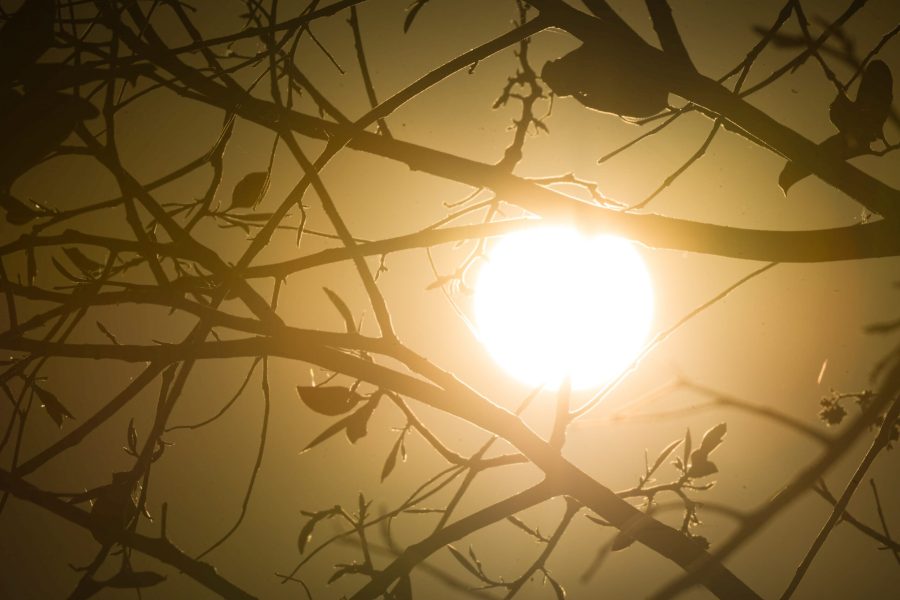 BH entra em alerta para onda de calor forte até quinta-feira (15/10)