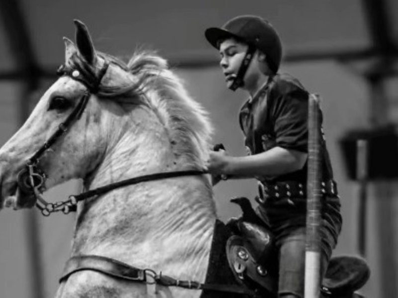 Jovem promessa do hipismo brasileiro morre em acidente no RJ
