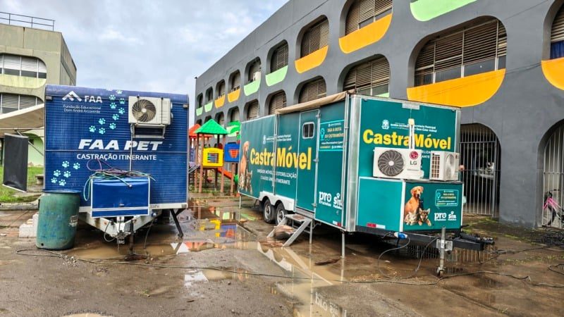 Castramóvel em Vargem Alegre: veja como agendar cirurgias gratuitas