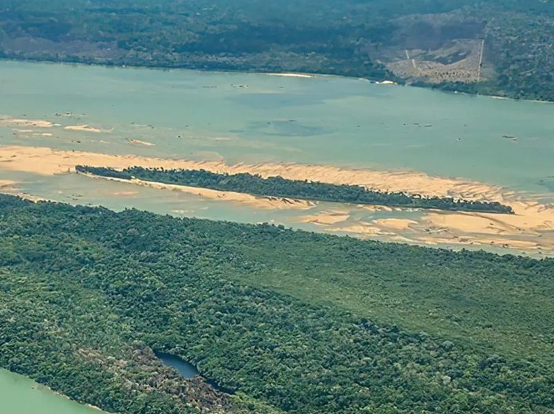 Menina de 8 anos é atacada por onça na Amazônia