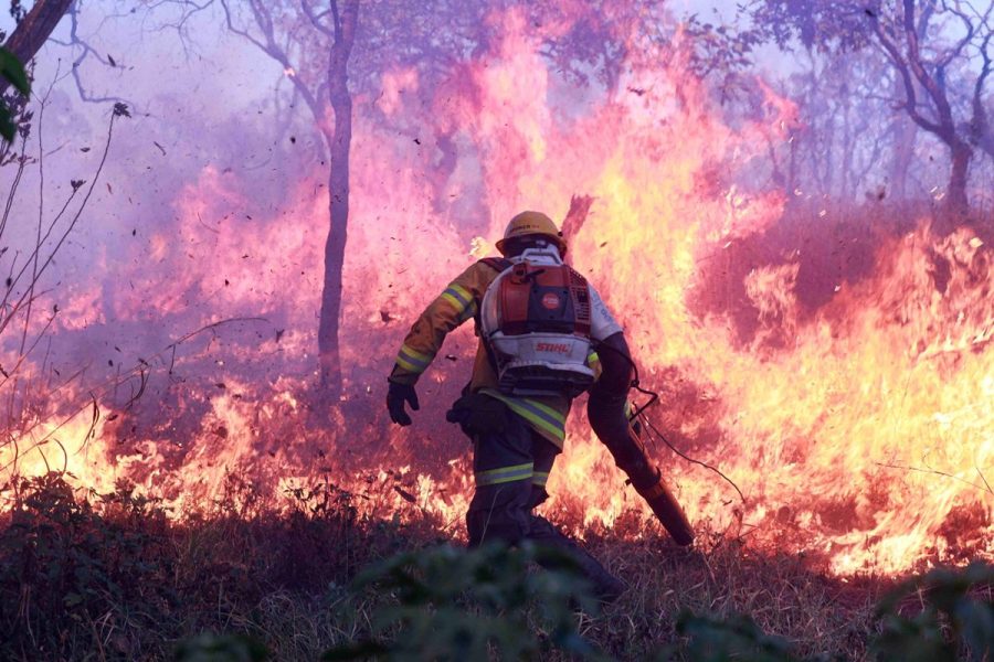 GDF proíbe uso de fogo em vegetação pelo alto risco de incêndios florestais