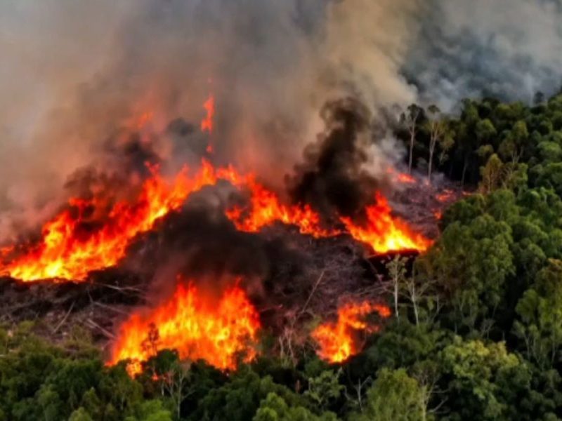Governo amplia frota aérea para conter incêndios no Amazonas
