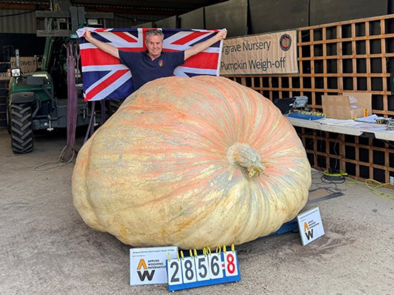 Homem quebra recorde mundial com abóbora gigante de 1,3 tonelada