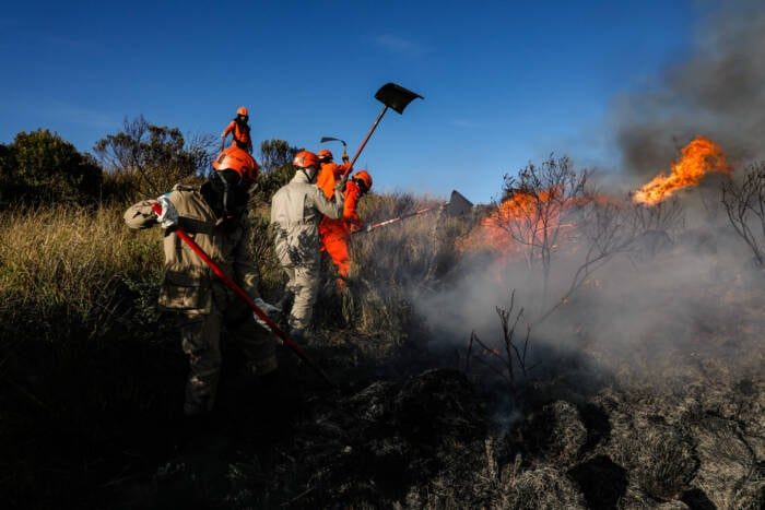 Incêndios em vegetação caem 33,45% no estado do Rio, aponta balanço