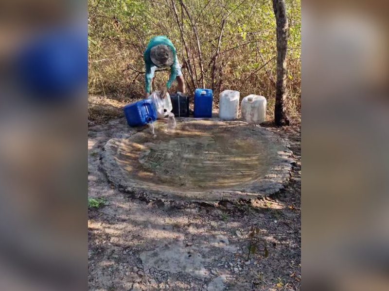 Jovem viraliza instalando bebedouros no sertão para salvar animais na seca