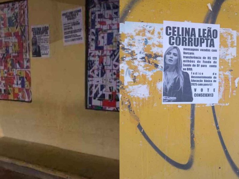 TRE-DF manda Celina Leão apagar post que liga PT a cartazes