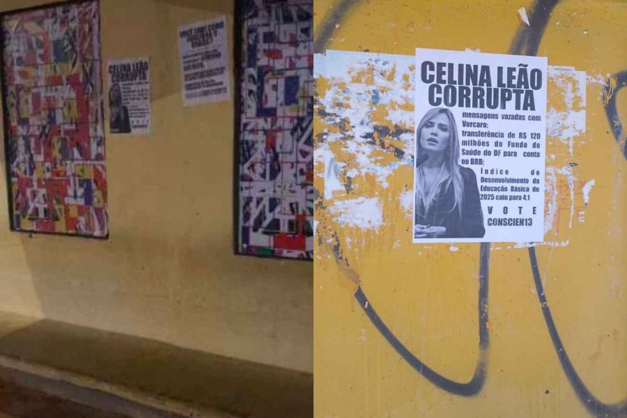 Juiz manda Celina apagar post em que associa o PT a cartazes ofensivos
