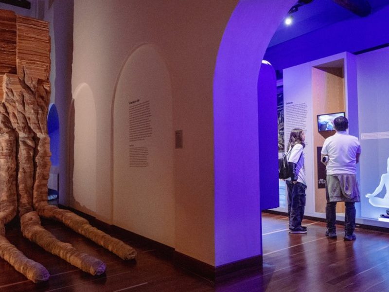 Colômbia deve devolver obras censuradas em museu