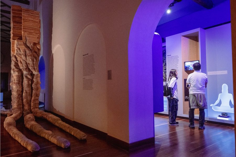 Justiça determina que governo da Colômbia devolva obras retiradas de museu