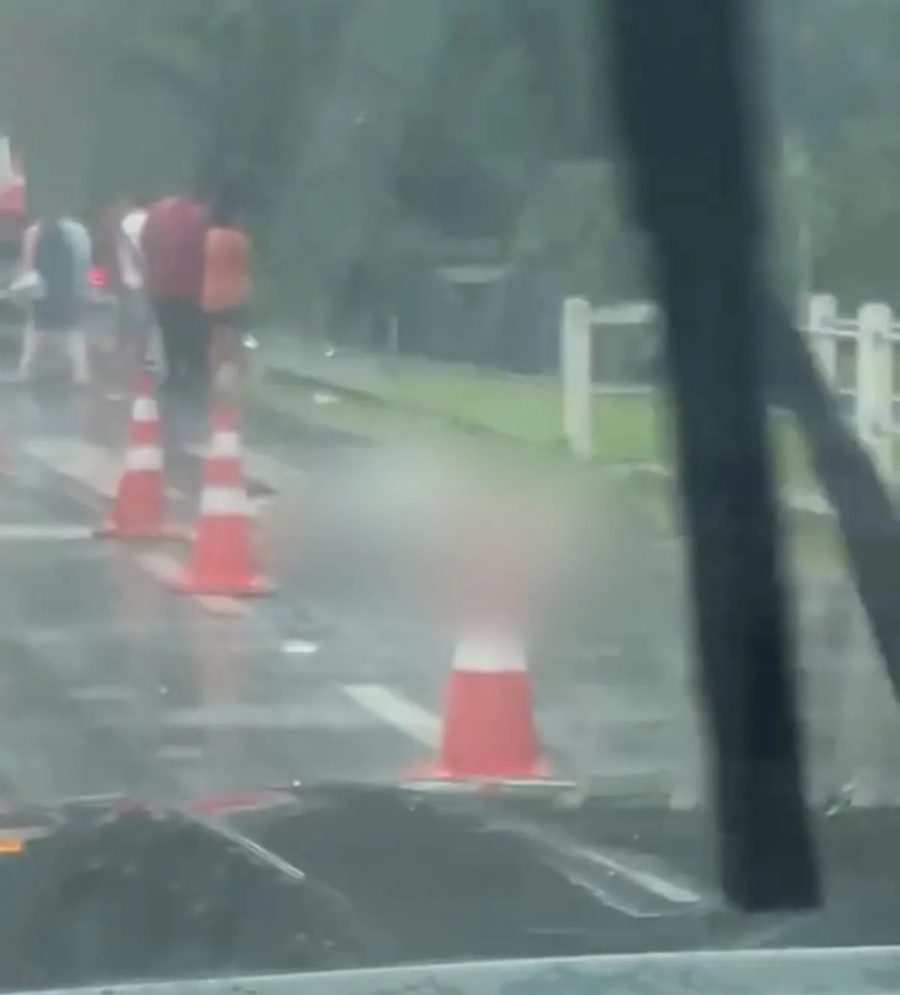 Motorista morre ao bater em poste após atropelar cavalo na Rio-Santos, em Angra dos Reis