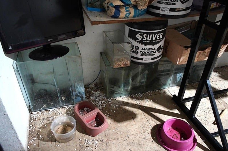 Apreensão de 241 animais em Volta Redonda choca autoridades