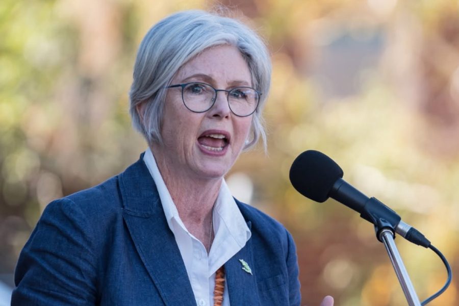 Parlamentar australiana tem perna amputada após suposto ataque