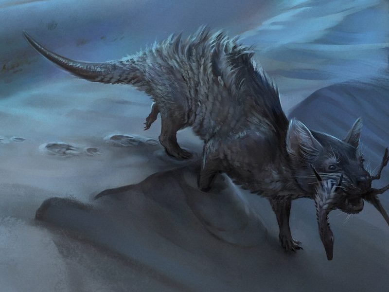 Pegada gigante da era dos dinossauros é achada em SC
