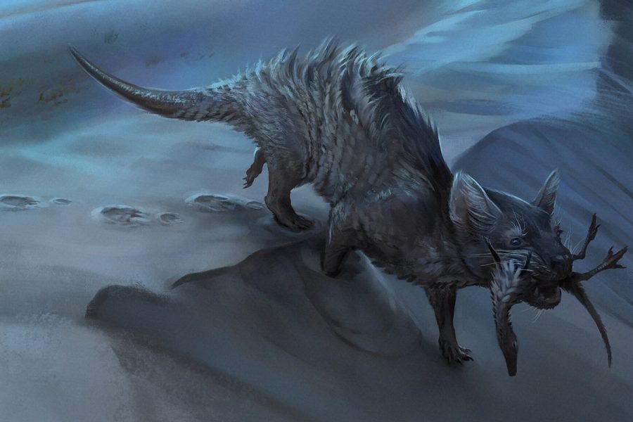 Pegada de grande mamífero da era dos dinossauros é achada em Santa Catarina