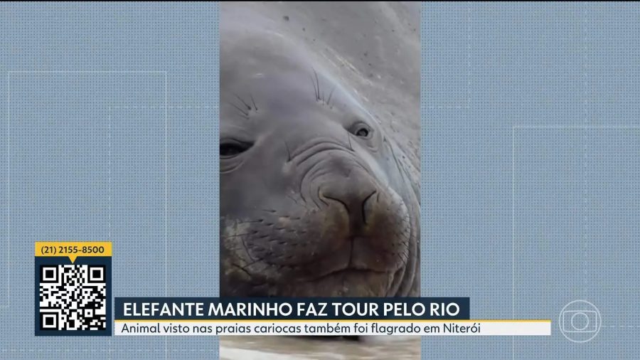 Bom Dia Rio: assista aos vídeos do telejornal de hoje