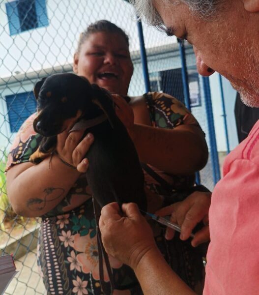 Volta Redonda imuniza cães comunitários do Centro POP contra raiva